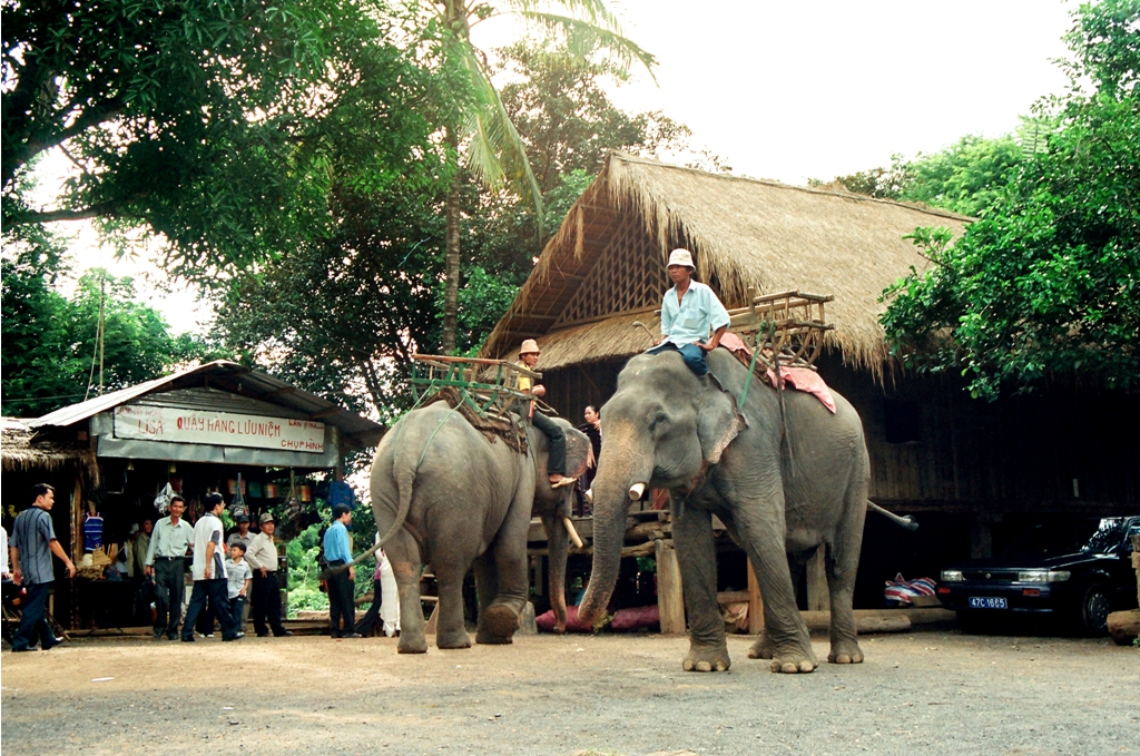 Buôn Ma Thuột 3 Ngày 2 Đêm